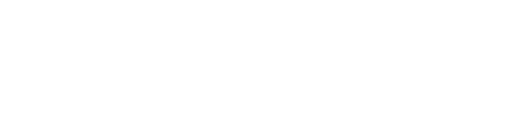 Flotte Flensburg