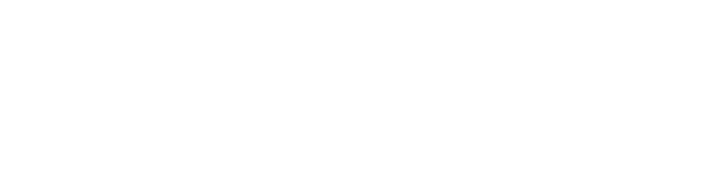 Flotte Schlei